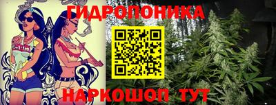 дмт Рыбинск