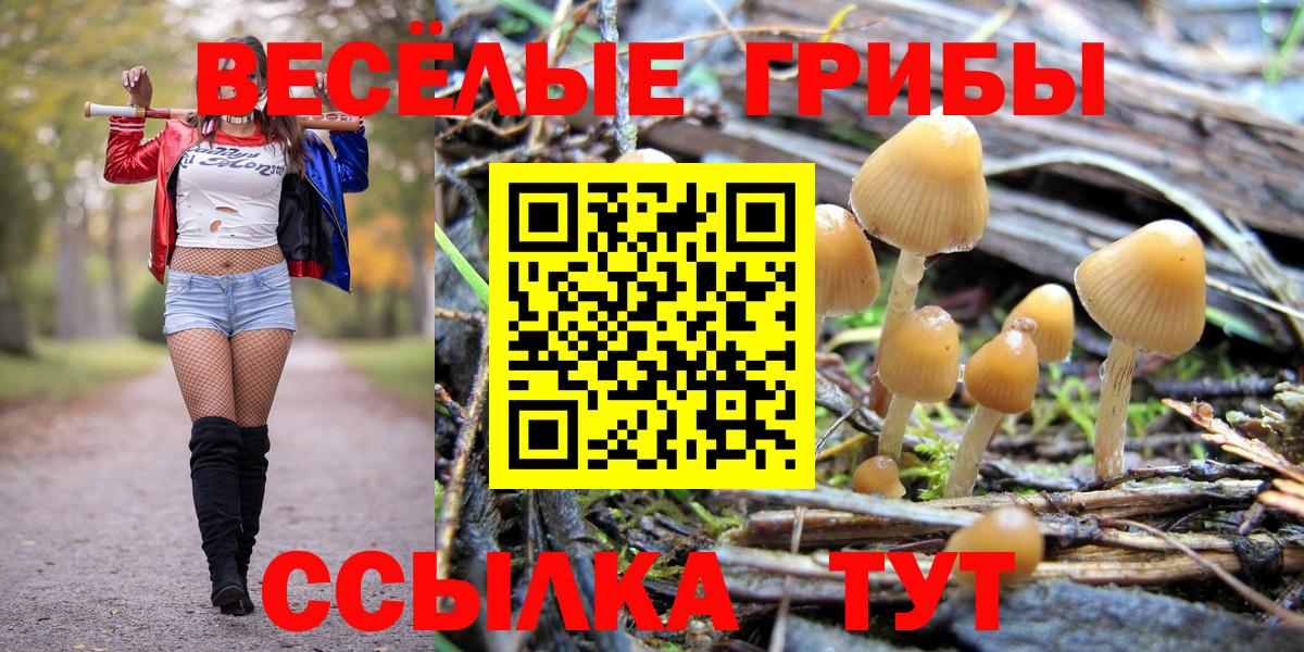 Псилоцибиновые грибы мухоморы  Вход с VPN  Псилоцибиновые грибы Psilocybe  Нягань 