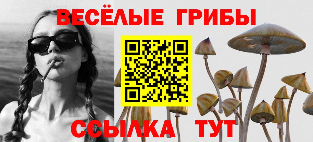 Галлюциногенные грибы ЛСД Нягань